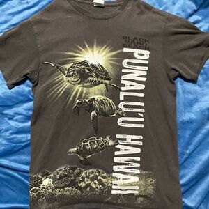 Black sand beach Punalul’u Hawaii size small
